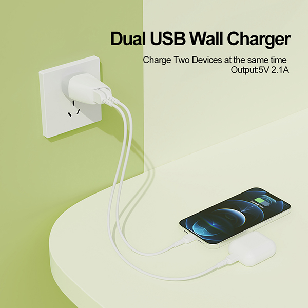 雙USB旅行充電器-ST260